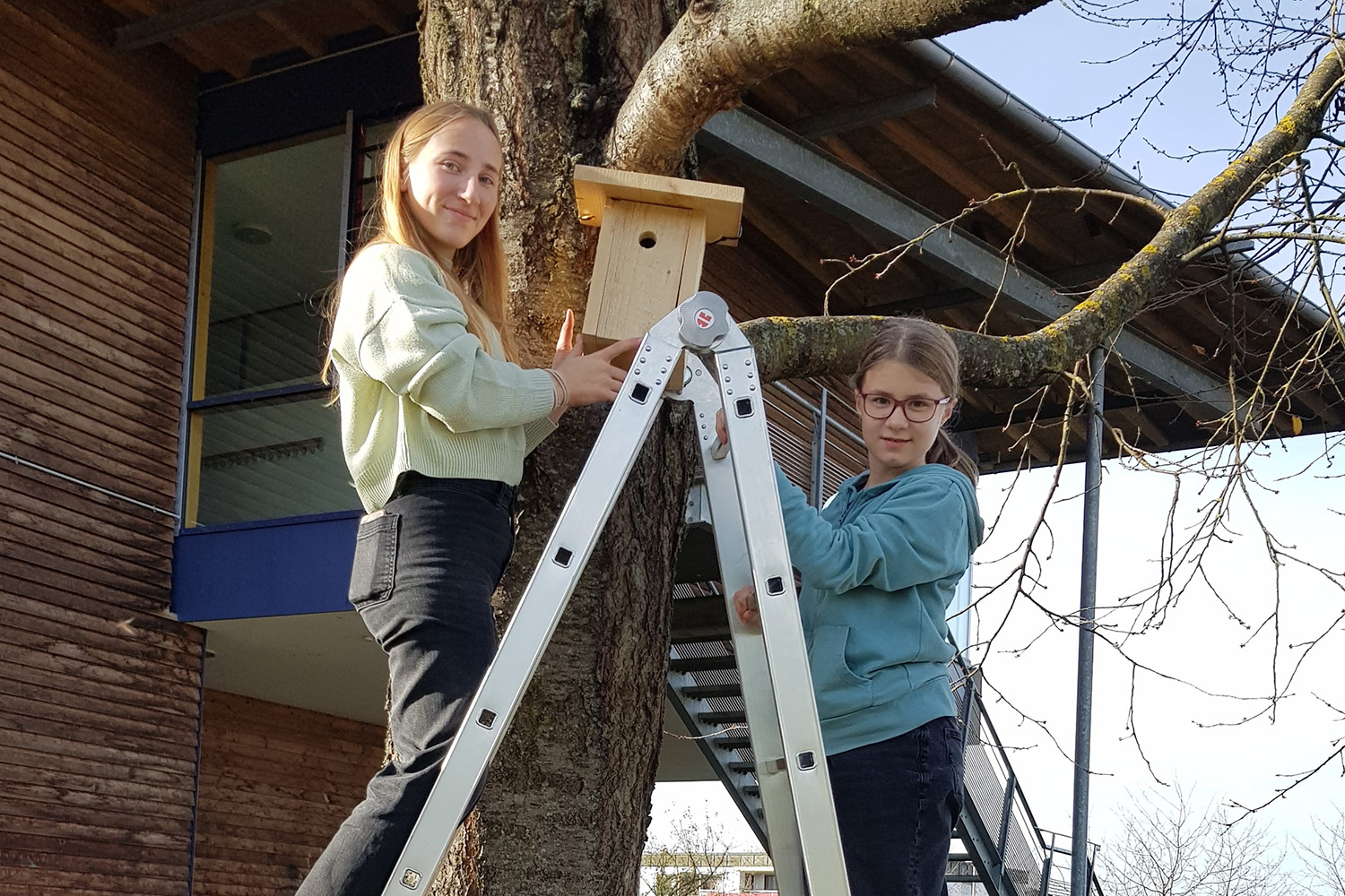 Mitglieder der Bio-AG beim Aufhängen eines Vogelhäuschens