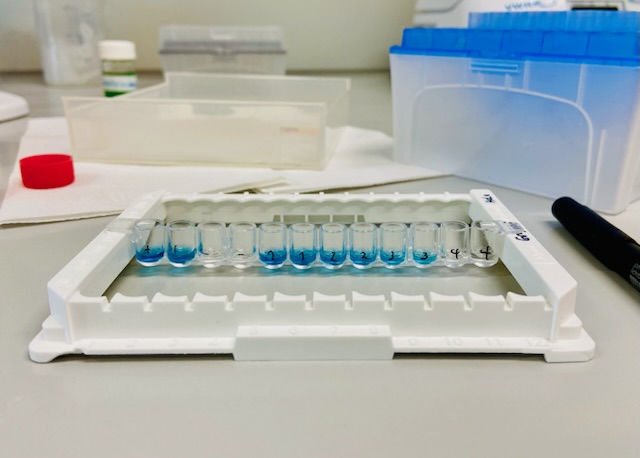 Uni Hohenheim 10c 2026 (2)