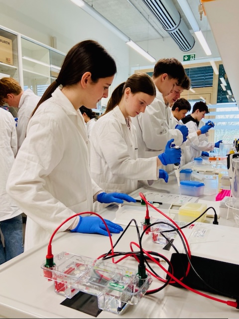 Uni Hohenheim 10c 2026 (3)