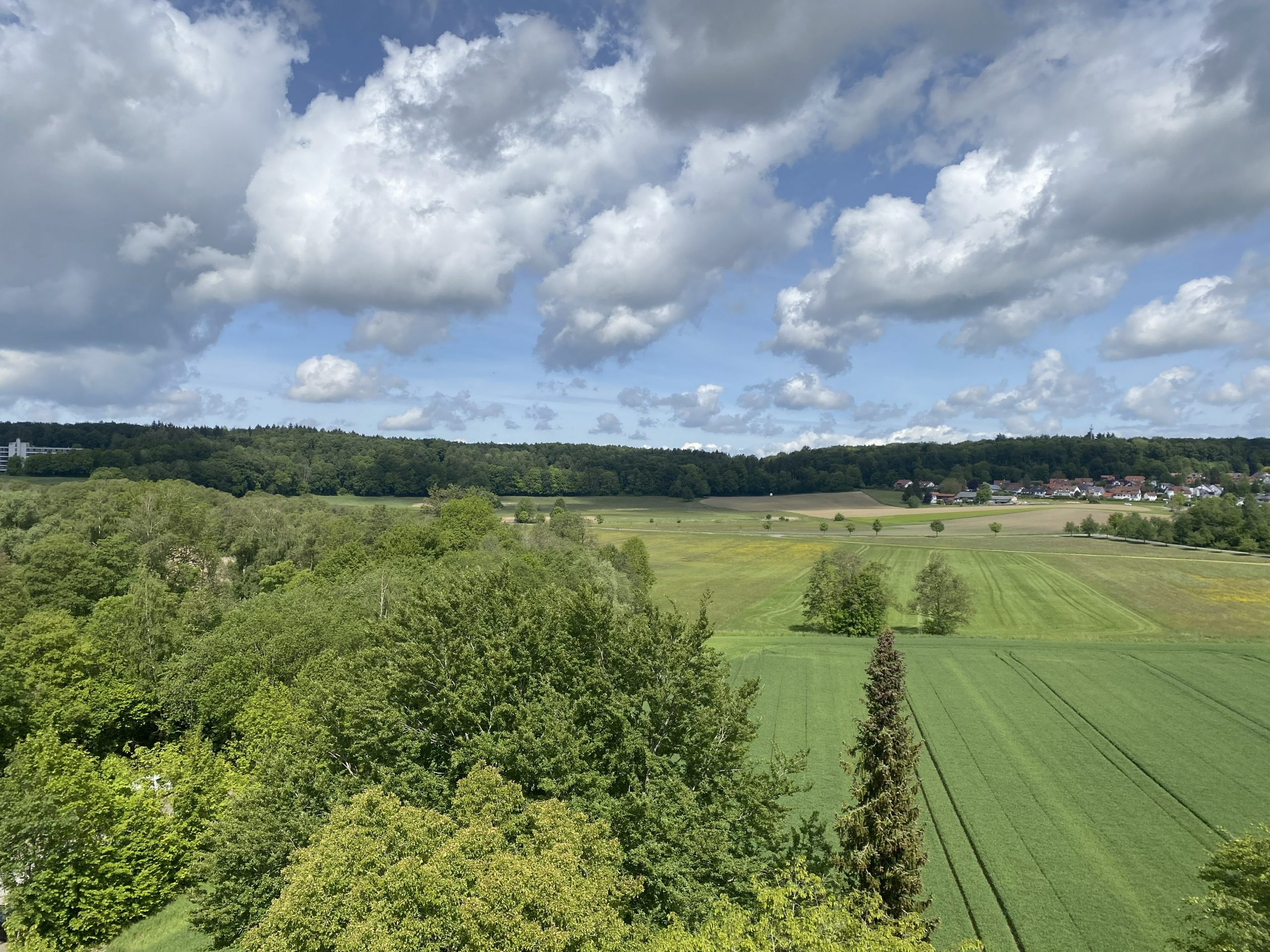 Arbeitsphase 2026 Schussenried (9)